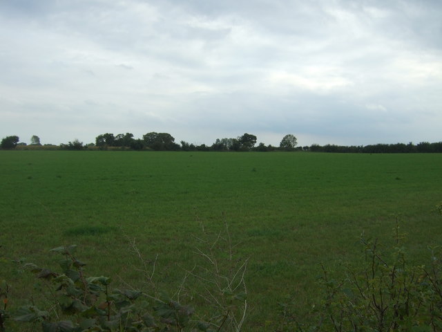 Field off Lily Lane, Aldeby