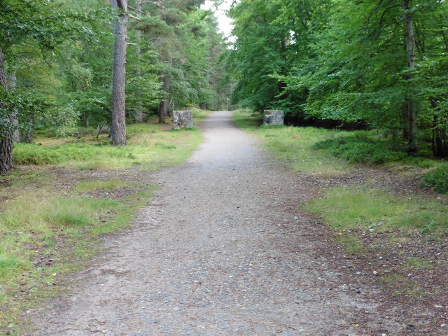 The Speyside Way in Anagach Wood
