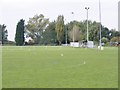 Pitch View