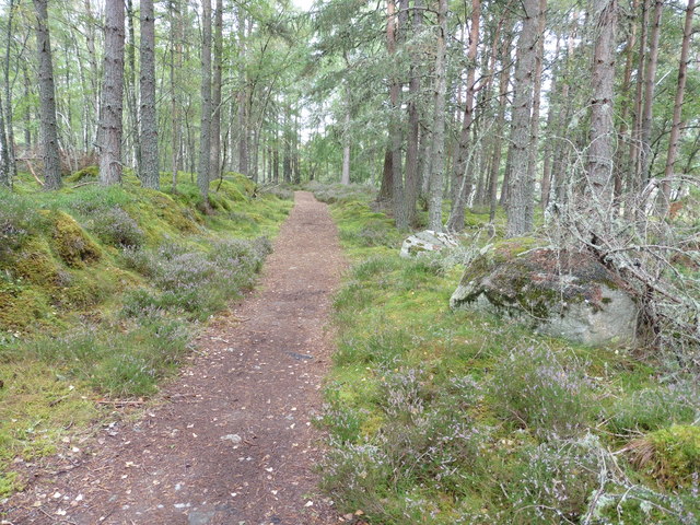 The Speyside Way near Croftnacarn