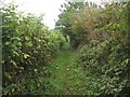 Footpath south of Birney Hill Farm