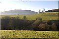 Radnor Forest farmland