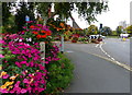 Flowers next to the Forest Road Roundabout