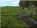 NS4759 : Farm track by Lairich Rig