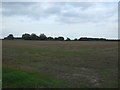 Stubble field off Yarmouth Road (A143)