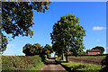 Access Lane to Church Hill Farm