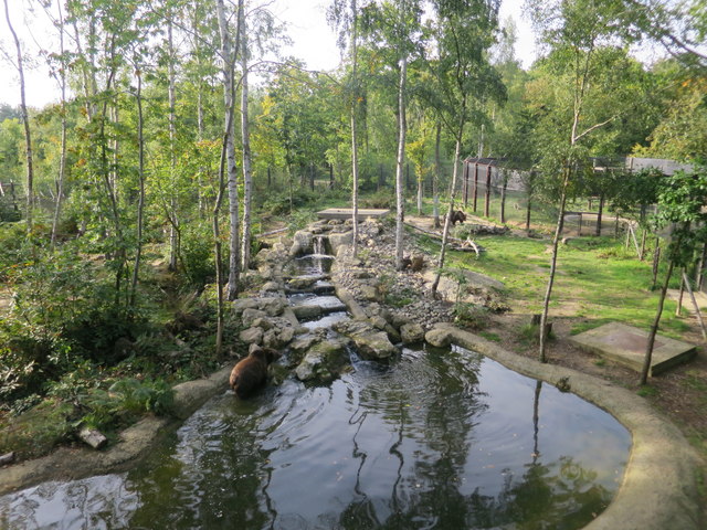 Bear enclosure at Wildwood Discovery Park