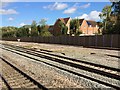 View from a Didcot-Worcester train - screening next to Stone Meadow