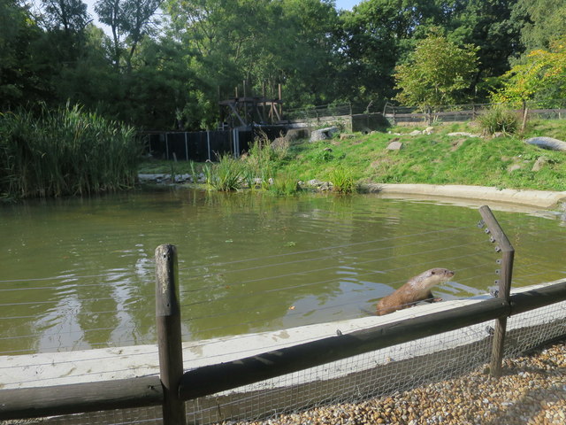 Otter enclosure at Wildwood Discovery Park
