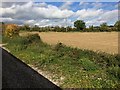 View from a Didcot-Worcester train - Corner of a field near Worten