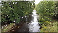 River Wear from Blackdene Bridge