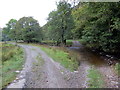 Rhyd ger Dol-berthog / Ford near Dol-berthog