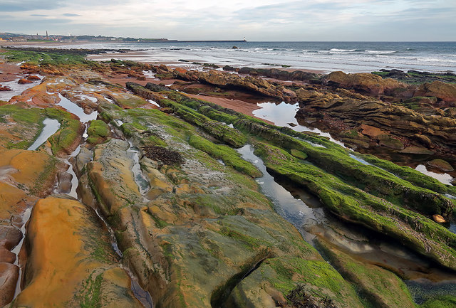 Coastal rocks at Huds Head