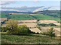 Farmland of Strath Peffer