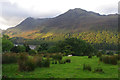 Rough grazing, Buttermere