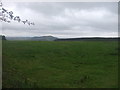 Grazing, Cairneymount