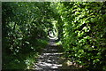 Footpath in Bidborough