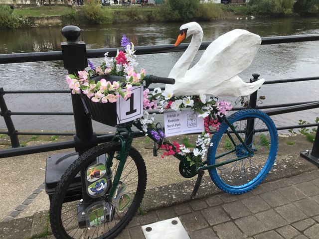 Decorated cycle