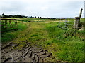 An open field, Ballynaloan