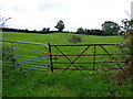 Ballynaloan Townland