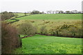 Steep Valley near Woodland Farm