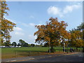 Warwick Terrace, Plumstead Common