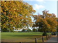 Alongside Warwick Terrace, Plumstead Common