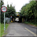 Narrow bridge ahead, Cow Lane, Didcot