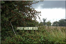 TL8963 : Elderstub Lane sign by Geographer