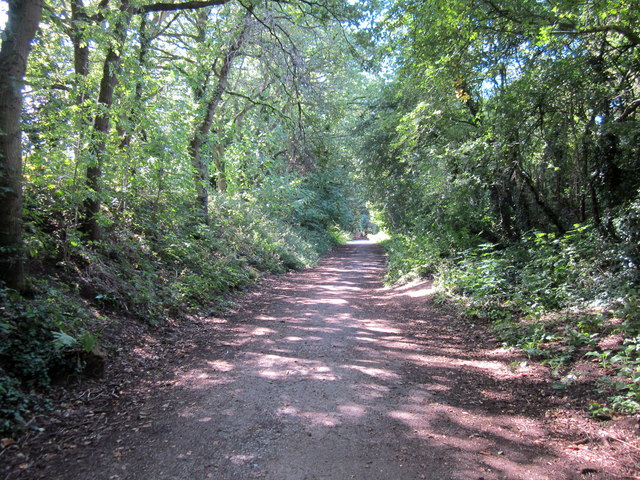 The Wirral Way at Willaston