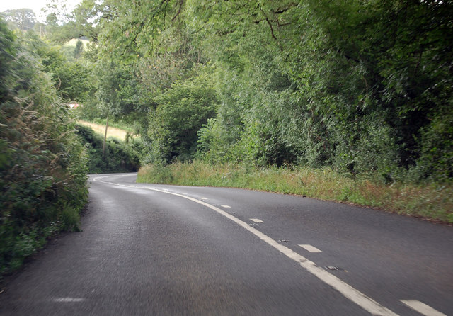 A377 through a wooded area