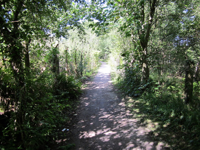 The Wirral Way east of Willaston