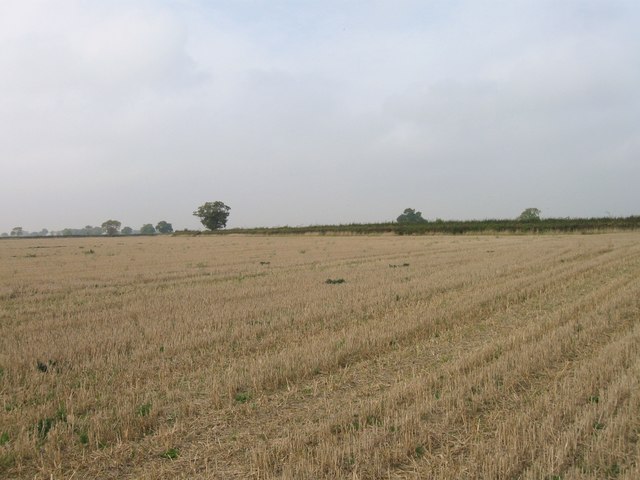 Stubble field