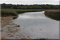 SN1845 : Creek, Afon Teifi, Teifi Marshes Nature Reserve by M J Roscoe