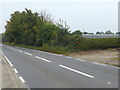 TQ3898 : Sewardstone Road by Marathon