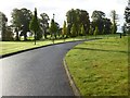 Tree-lined drive, Woodland Hotel