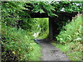 The Speyside Way Dufftown Spur near Balvenie