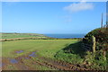 Farmland by the Coast