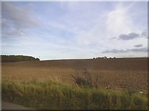 TL2635 : Field by Ashwell Road, Bygrave by David Howard