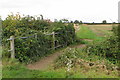 Footbridge on the Ouse Valley Way