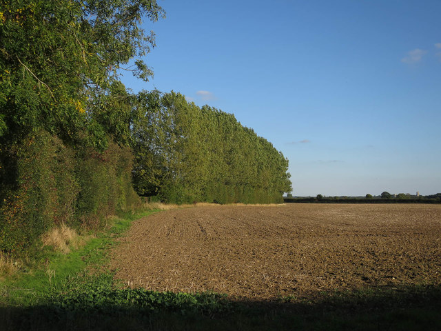 Field off Church Lane