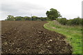 Footpath to Pictshill Gorse