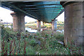 Underneath the Viaduct