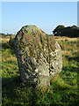 Broomend of Crichie Stone Circle (5)