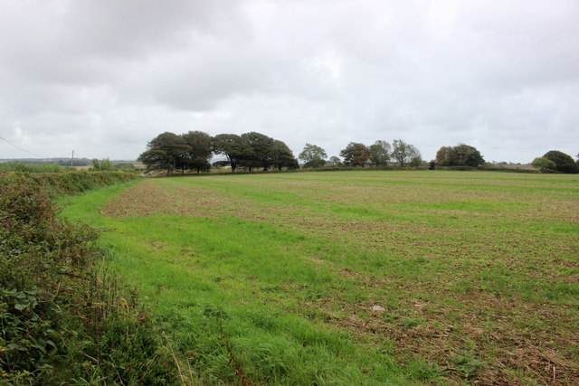 Fields at Charton Cross