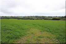 SY2992 : Field near Lidyates Barn by Nigel Mykura