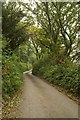 Lane to Blackdown Cross