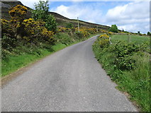 J1409 : The Piedmont-Upper Jenkinstown road climbing the lower eastern slopes of Slievenaglogh by Eric Jones