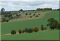 SK8300 : Farmland north of Wardley Hill by Mat Fascione