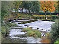 Weir and fish ladder, Morpeth